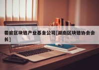 娄底区块链产业基金公司[湖南区块链协会会长]